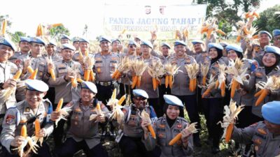 Wakapolda Banten Pimpin Panen Jagung, Dukung Ketahanan Pangan Prabowo