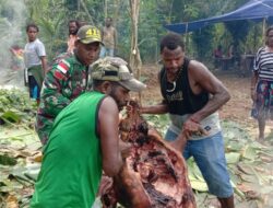 Yonif MR 413 Kostrad dan Warga Mosso Rayakan dengan Tradisi Bakar Batu
