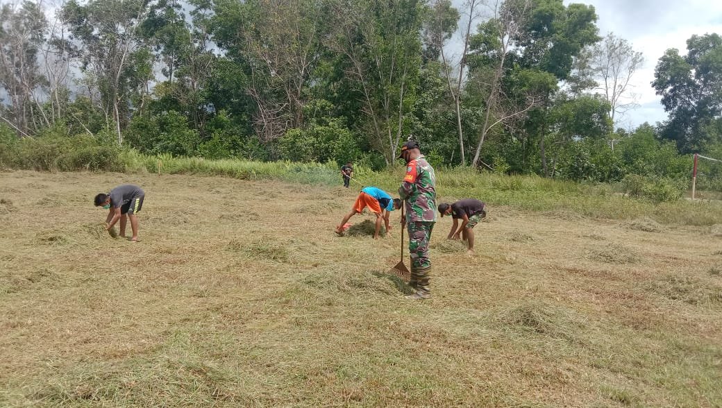 Babinsu Temajuk dan Karang Taruna Bersihkan Lapangan Sepak Bola sebagai Teladan