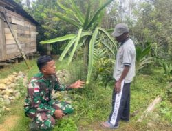 Kebun Buah Naga Warga Tak Berbuah, Satgas Yonif 143/TWEJ Beri Solusi