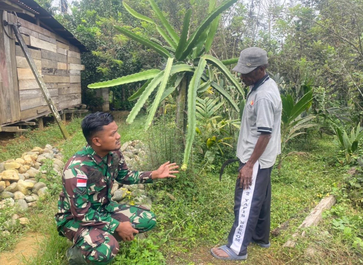 Kebun Buah Naga Warga Tak Berbuah, Satgas Yonif 143/TWEJ Beri Solusi