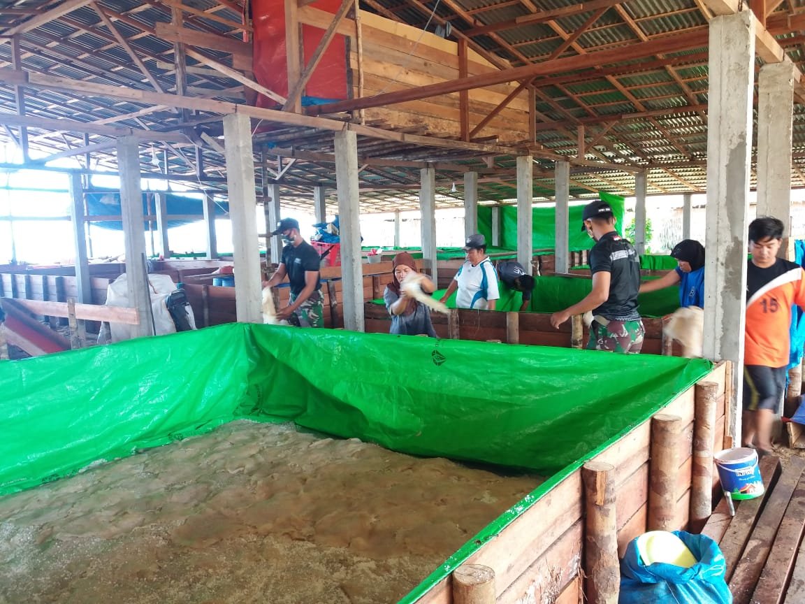 Satgas Pamtas Yonif 642 Bantu Panen Ubur-Ubur Pererat Silaturahmi