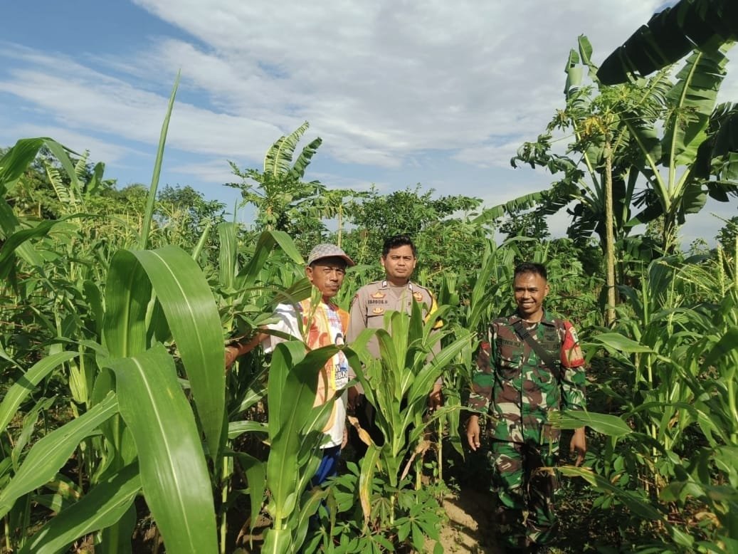 Sinergi Polresta Serkot dan Petani Perkuat Swasembada Pangan untuk Ketahanan Nasional