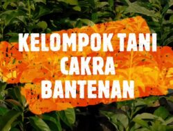 Perayaan Hari KORPRI ke-49, Distanhorbun Bogor Bagikan Bibit Talas