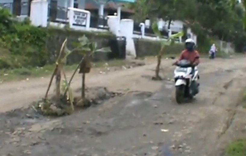 Jalan Lebak-Serang Ditanami Pisang oleh Warga, Ini Kronologinya
