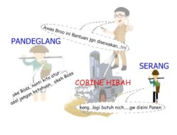 Hibah Combine Pandeglang Disewakan, Kepala Dinas dan Kasi Memilih Diam