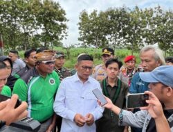 HMI Serang dan JARNAS Pemuda Hijau Tanam Pohon di Hilir Sungai Cibanten