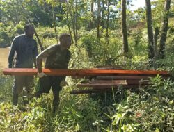 Personel TMMD Kodim 1711 Bantu Warga Angkut Kayu untuk Bangun Rumah