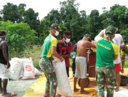 Satgas Yonif MR 413 Kostrad Giling Jagung untuk Ekonomi Warga Perbatasan RI-PNG