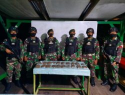 TNI Yonif 413 Kostrad Amankan Puluhan Paket Ganja Kering di Perbatasan RI-PNG
