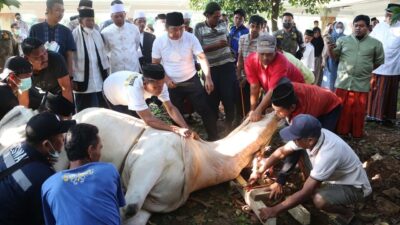 Pj Gubernur Al Muktabar: Daging Kurban untuk Keluarga Stunting dan Gizi Buruk