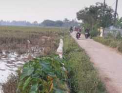 Proyek P3TGAI Tanjakan Mekar Diduga Asal Jadi Tanpa Tender