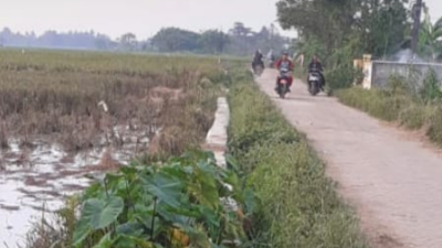 Proyek P3TGAI Tanjakan Mekar Diduga Asal Jadi Tanpa Tender