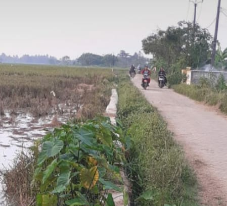 Proyek P3TGAI Tanjakan Mekar Diduga Asal Jadi Tanpa Tender