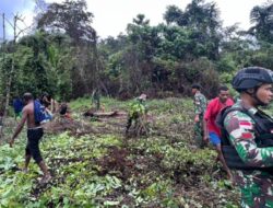 Yonif 143/TWEJ Gencarkan Gotong Royong untuk Papua Sehat dan Asri di Perbatasan RI-PNG