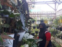 Setelah Mandiri Ekonomi, Siti Muthmainah Keluar dari Program PKH