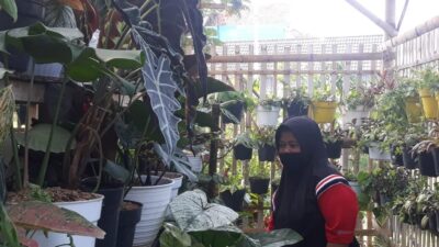 Setelah Mandiri Ekonomi, Siti Muthmainah Keluar dari Program PKH