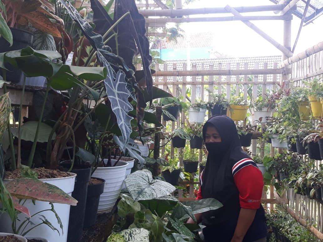 Setelah Mandiri Ekonomi, Siti Muthmainah Keluar dari Program PKH