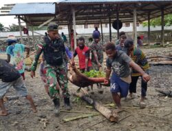 Warga Kampung Gambut dan Satgas Yonif MR 413 Kostrad Rayakan Natal dengan Bakar Batu