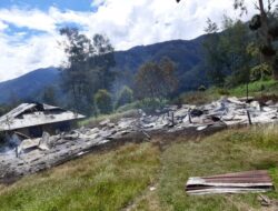 Selain Lumpuhkan Pendidikan, KKB Papua Juga Hina Adat Papua