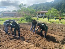 Kepedulian pada Siswa, Satgas Pamtas Yonif Raider 142/KJ Ajarkan Bercocok Tanam