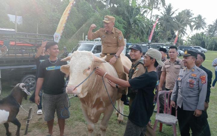 Pemda Tanggamus Buka Bazar Hewan Qurban Jelang Idul Adha 1445 H