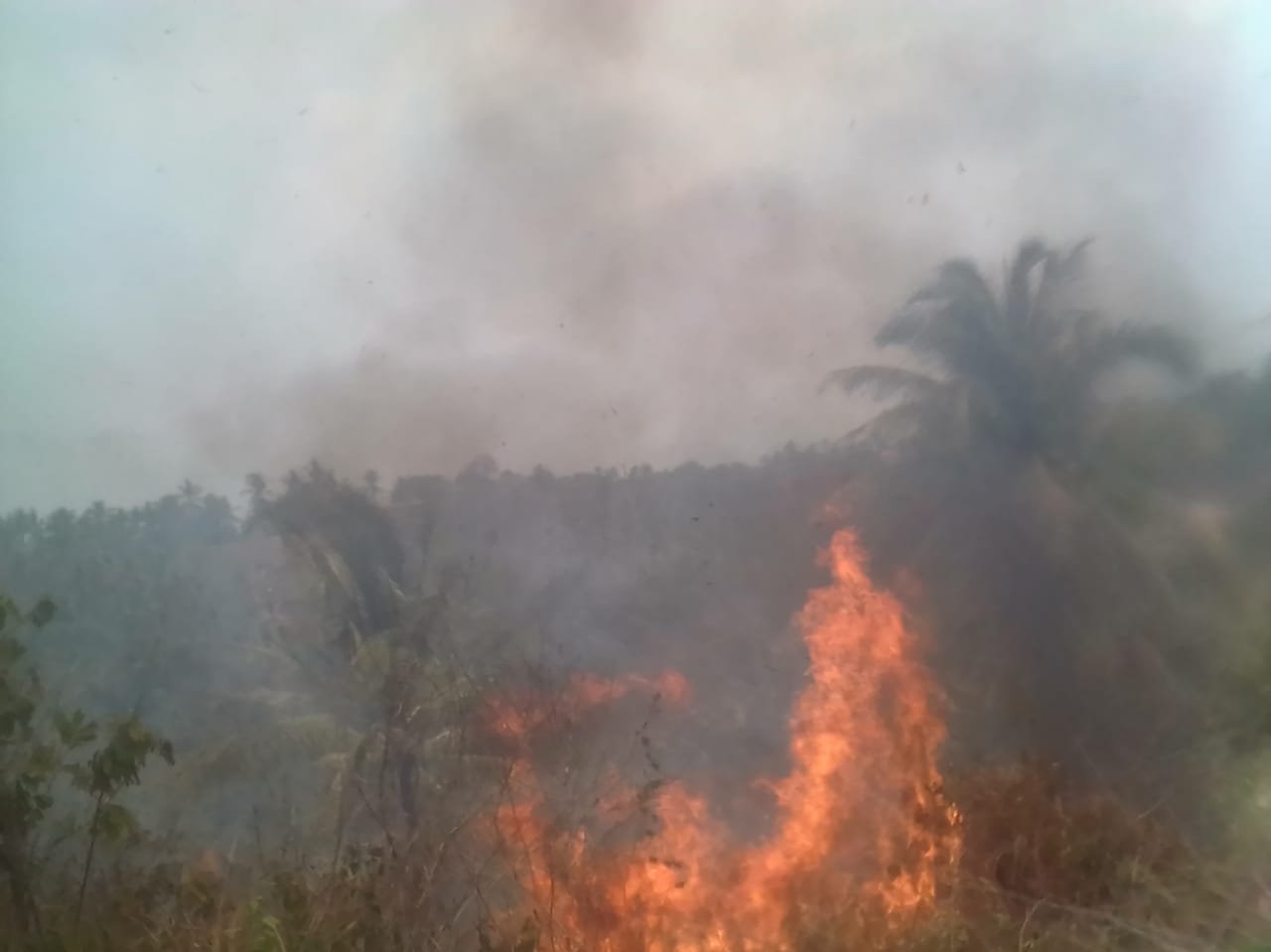 Kantor Desa Batu Kuda Hampir Terbakar di Tengah Hari