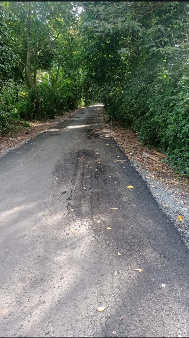 Jalan Baros-Petir Baru Rusak Parah dalam 4 Bulan, UPTD Seragon Diam Seribu Bahasa
