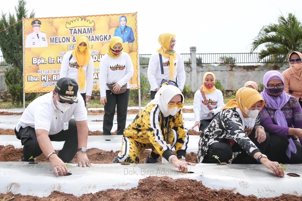 Gubernur Lampung dan Ibu Riana Taman Melon Kembangkan Wahana Eduwisata Keluarga