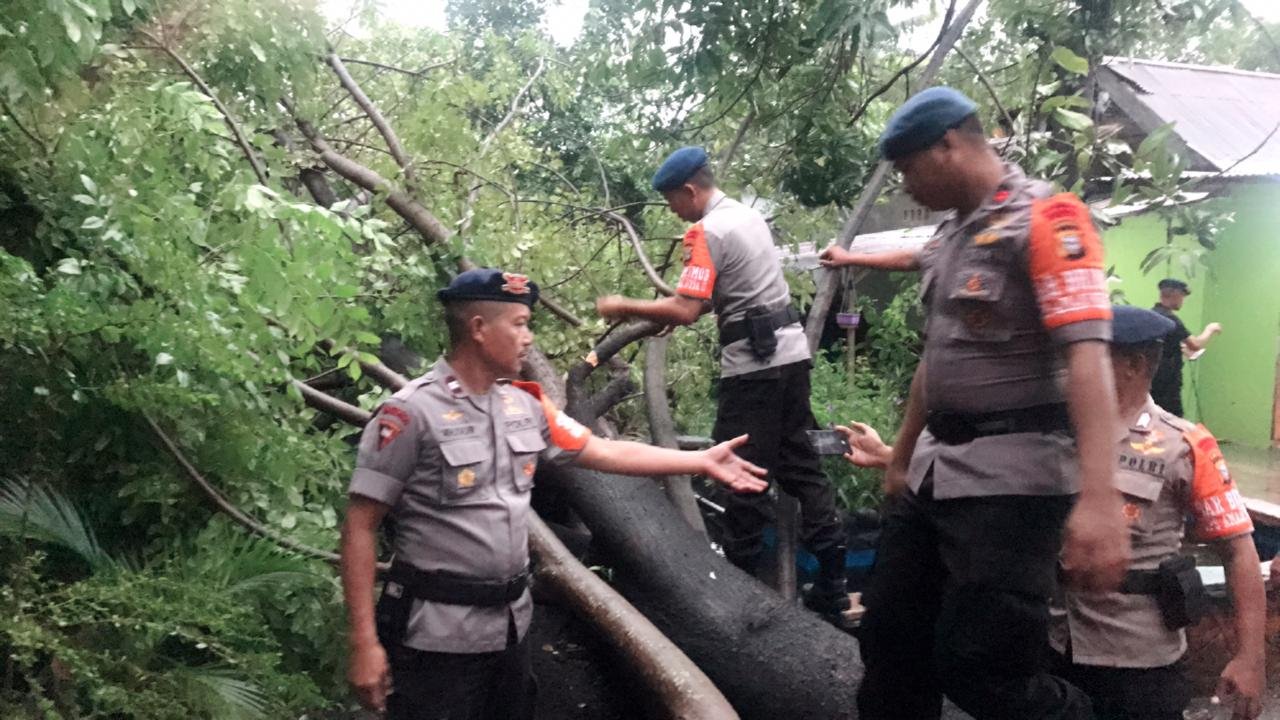 SAR Batalyon A Pelopor Brimob Polda Sulsel Bersihkan Pohon Tumbang Bersama