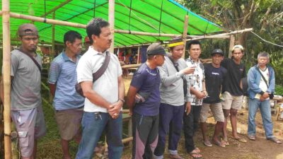 Pedagang Sapi Bima di Jabodetabek Merugi, Minta Perhatian Pemerintah