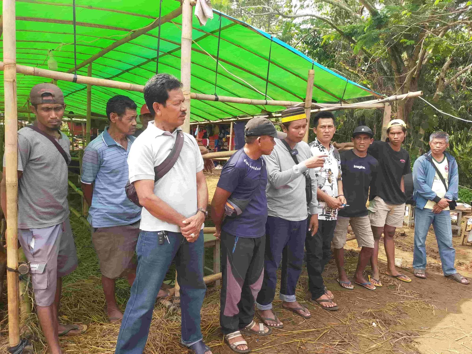 Pedagang Sapi Bima di Jabodetabek Merugi, Minta Perhatian Pemerintah