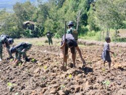 Satgas Yonif Raider 321 Kostrad Bantu Warga Pedalaman Papua Buka Lahan Perkebunan untuk Ketahanan Pangan