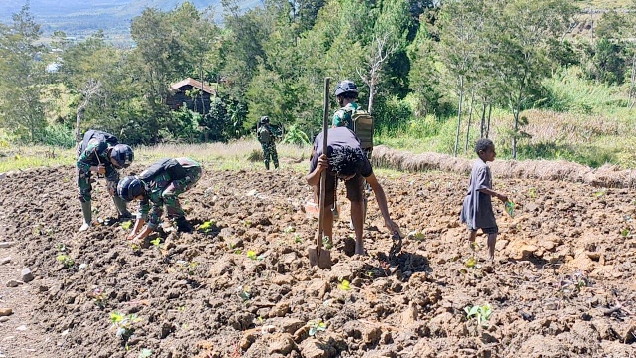Satgas Yonif Raider 321 Kostrad Bantu Warga Pedalaman Papua Buka Lahan Perkebunan untuk Ketahanan Pangan