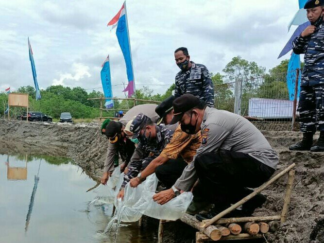 Lanal TBA dan Forkopimda Tebar Benih Udang di Posal Bandar Khalifah