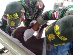 Prajurit Yonif MR 413 Kostrad Selamatkan Korban Mobil Jatuh ke Parit karena Ban Pecah