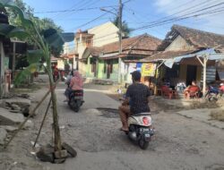 Warga Cibeber Tanam Pohon Pisang di Jalan Rusak yang Tak Kunjung Diperbaiki