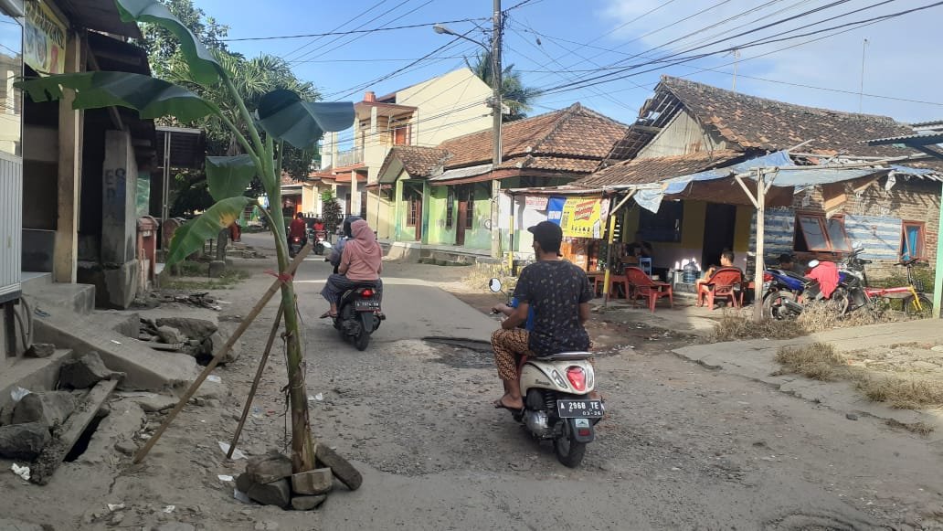 Warga Cibeber Tanam Pohon Pisang di Jalan Rusak yang Tak Kunjung Diperbaiki