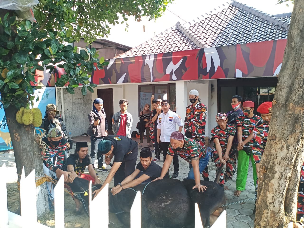 Ketum LMP H M Arsyad Cannu Hadiahkan Hewan Qurban di Mabes LMP