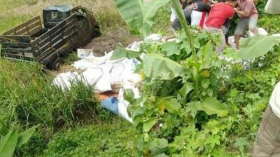 Truk Pick Up Diduga Overload Tergelincir ke Sawah, Sopir Tewas
