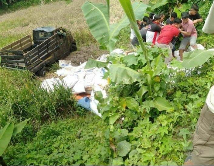 Truk Pick Up Diduga Overload Tergelincir ke Sawah, Sopir Tewas