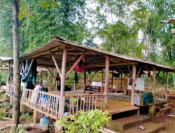 Keberadaan Pondok Pesantren Tahfidz di Maroko Menuai Pro Kontra