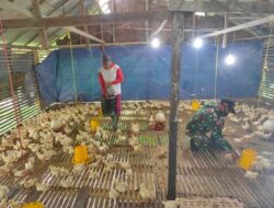 Babinsa Ingatkan Peternak Ayam Jaga Kebersihan di Tengah Pandemi
