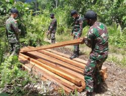 Satgas Yonif 642/Kapuas Amankan Kayu Hasil Illegal Logging saat Patroli di Perbatasan