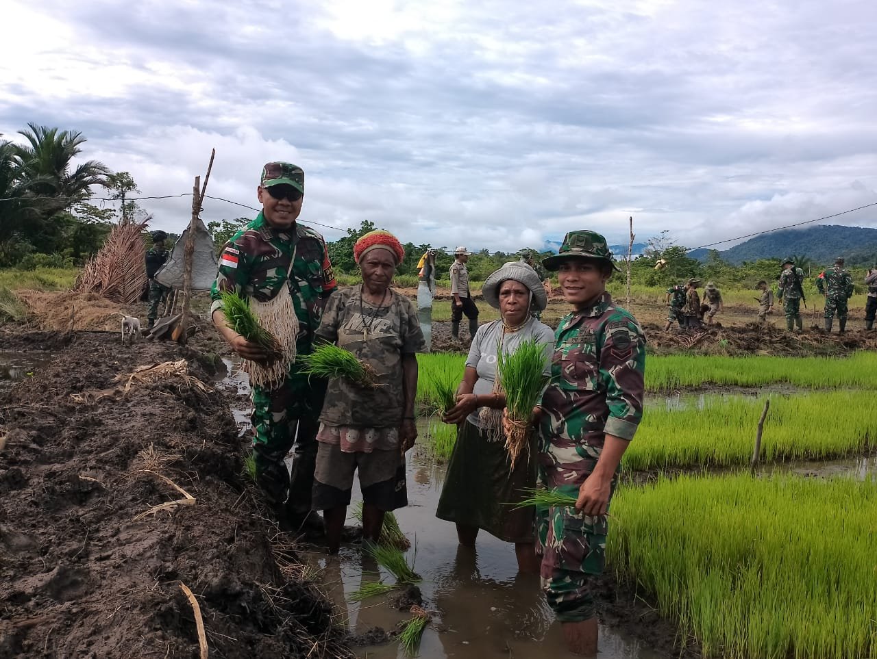 Satgas Pamtas Yonif 126/KC Dukung Ketahanan Pangan dengan Bantu Tanam Padi di Perbatasan