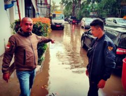 Kemunculan Ular di Halaman Kantor PUPR Depok, Ini Respons IPJI dan PWRI