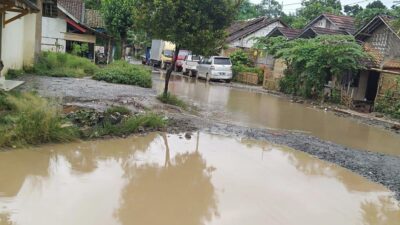 Puluhan Tahun Jalan Kabupaten Lebak di Citeras Rusak Parah Jadi Kubangan Kotoran Kerbau