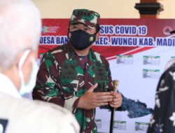 Panglima TNI Cek Posko PPKM Mikro di Kecamatan Wungu Madiun