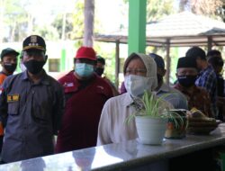 Tiga Truk Logistik Bantuan, Mensos Dampingi Menko PMK Tinjau Korban Lumajang