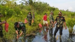 Kodim 0601/Pandeglang Tanam Mangrove untuk Kelestarian Alam